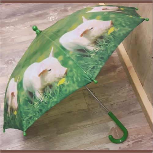 Kinder paraplu biggetjes van Esschert design