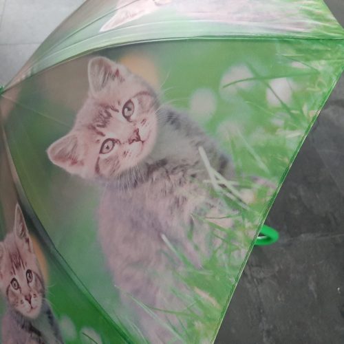 Paraplu groen met grijze kitten voor kindere